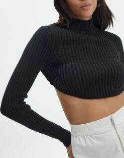 Cropped High Neck Backless Long Sleeve Knit Top 25 Cropped High Neck Backless Long Sleeve Knit Top -Glassons Store bearman backless funnel top black imageback kl111146knt