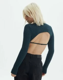 Cropped High Neck Backless Long Sleeve Knit Top 34 Cropped High Neck Backless Long Sleeve Knit Top -Glassons Store bearman backless funnel top ivy league back kl111146knt