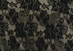 Lace Midi Slip Skirt -Glassons Store co lorna lace midi skirt blacknude imagefront sl108106lac