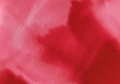 Print Maxi Slip Skirt 26 Print Maxi Slip Skirt -Glassons Store co riley low rise maxi skirt carnation skies imagefront sl102757prt