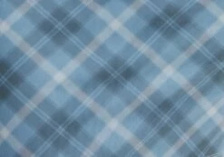 Printed Mini Mesh Dress -Glassons Store delica mini mesh bubble check imagefront ds128708rchk