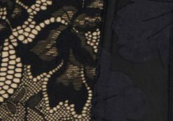 Lace Hook & Eye Front Corset Top -Glassons Store inka corset top blacknude imagefront ut111638lac