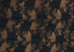 Off Shoulder Lace Long Sleeve Top -Glassons Store lexi longsleeve lace top black imagefront tl116985lac