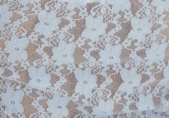 Off Shoulder Lace Long Sleeve Top -Glassons Store lexi longsleeve lace top icecap imagefront tl116985lac