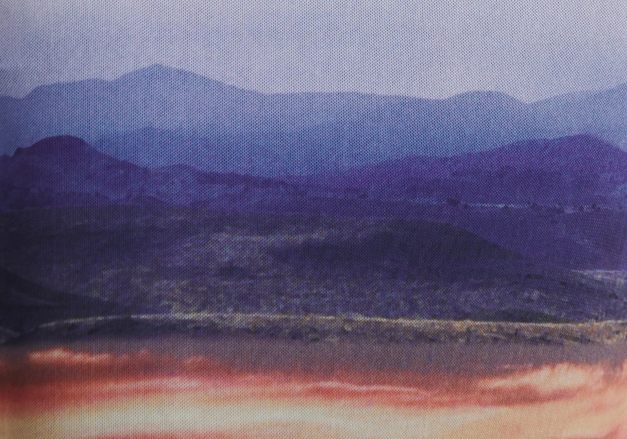 Print Mesh Maxi Skirt 6 Print Mesh Maxi Skirt - Image 4