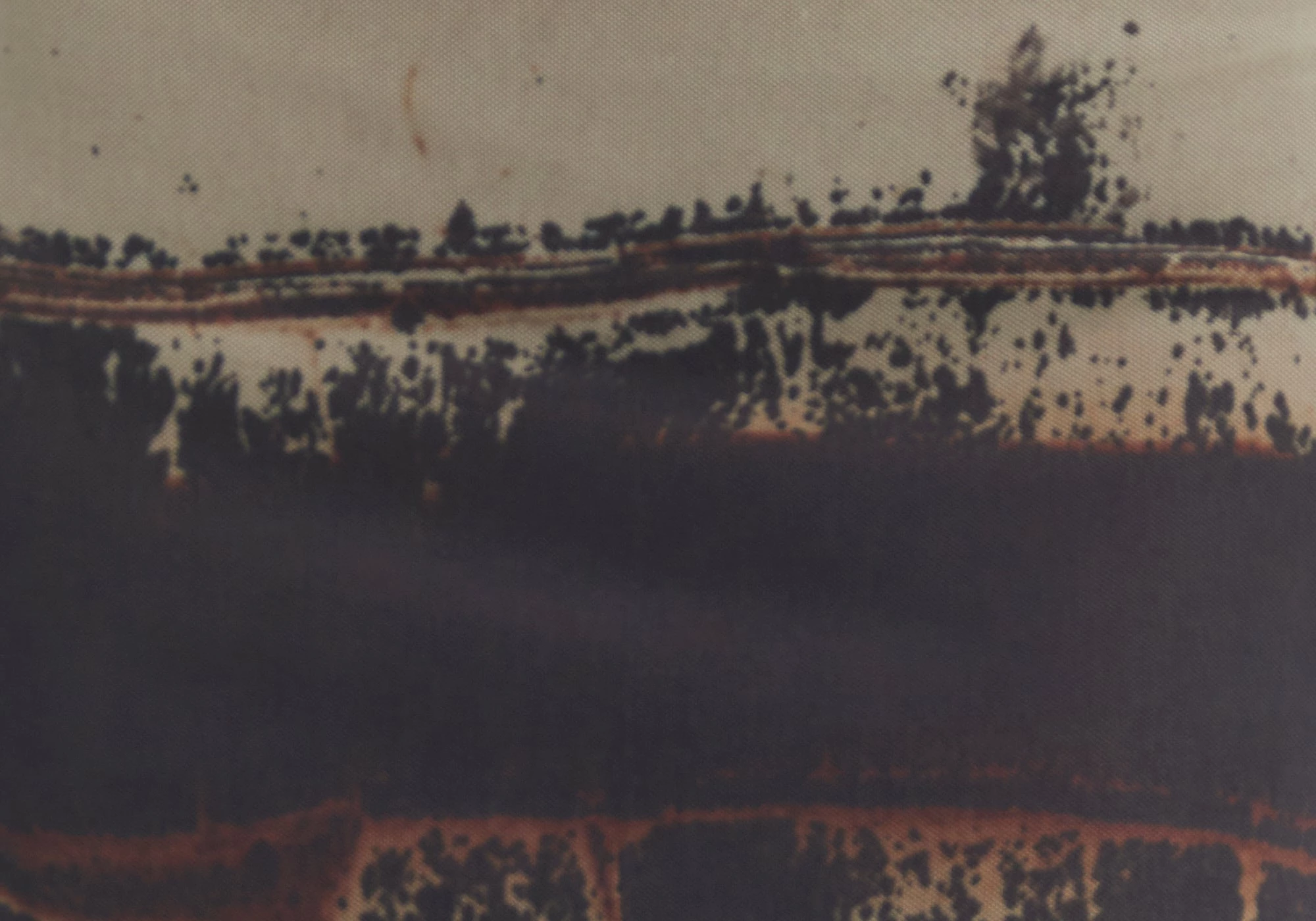 Print Mesh Maxi Skirt 11 Print Mesh Maxi Skirt - Image 9