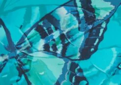 Printed Thong Bikini Bottom -Glassons Store r zimi high waist thong mystic butterflies imagefront ga63412rmsb