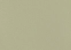 Thong Bikini Bottom -Glassons Store r zimi high waist thong precious cargo imagefront ga63412rpln