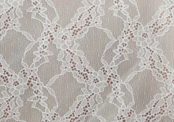 Lace Long Sleeve Button Front Top 32 Lace Long Sleeve Button Front Top -Glassons Store tali lace fitted cardigan milk imagefront tc131029lac